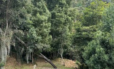 Exclusiva Casa de un Solo Piso en Sindamanoy – Privacidad  en Chía Descripción:Viva en uno de los condominios más prestigiosos y seguros de la sabana