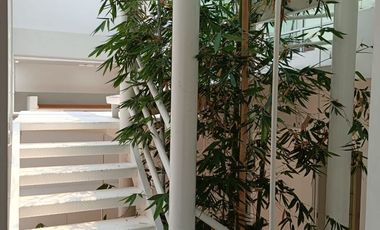 CASA EN VENTA EN BOSQUES DE LA HERRADURA, VISTA ARBOLADA 5 HABITACIONES 5.1 BAÑOS TERRAZA LUZ NATURAL