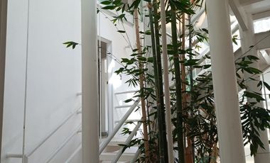 CASA EN VENTA EN BOSQUES DE LA HERRADURA, VISTA ARBOLADA 5 HABITACIONES 5.1 BAÑOS TERRAZA LUZ NATURAL