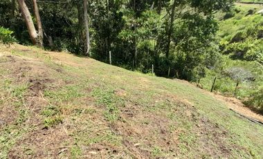 Venta De espectacular Finca De 27.000 Mt2, con terreno mixto Ideal Para Vivir O Cultivar, Marinilla, Antioquia