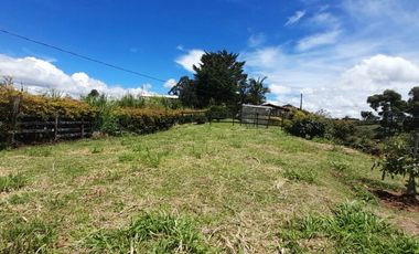 Venta De espectacular Finca De 27.000 Mt2, con terreno mixto Ideal Para Vivir O Cultivar, Marinilla, Antioquia