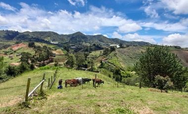 Venta De espectacular Finca De 27.000 Mt2, con terreno mixto Ideal Para Vivir O Cultivar, Marinilla, Antioquia
