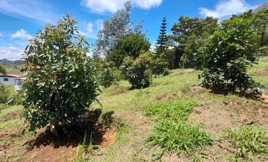 Venta De espectacular Finca De 27.000 Mt2, con terreno mixto Ideal Para Vivir O Cultivar, Marinilla, Antioquia