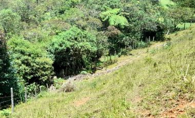 Venta De espectacular Finca De 27.000 Mt2, con terreno mixto Ideal Para Vivir O Cultivar, Marinilla, Antioquia