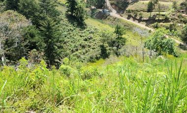 Venta De espectacular Finca De 27.000 Mt2, con terreno mixto Ideal Para Vivir O Cultivar, Marinilla, Antioquia