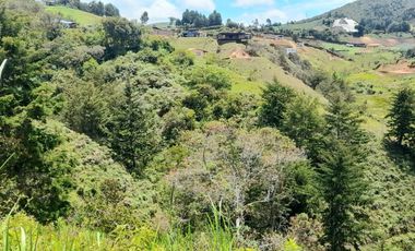Venta De espectacular Finca De 27.000 Mt2, con terreno mixto Ideal Para Vivir O Cultivar, Marinilla, Antioquia