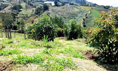 Venta De espectacular Finca De 27.000 Mt2, con terreno mixto Ideal Para Vivir O Cultivar, Marinilla, Antioquia