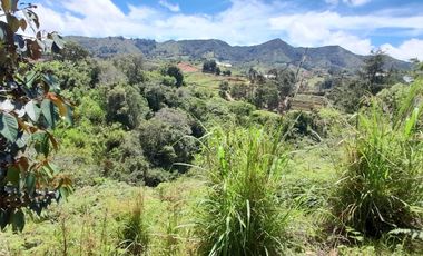 Venta De espectacular Finca De 27.000 Mt2, con terreno mixto Ideal Para Vivir O Cultivar, Marinilla, Antioquia