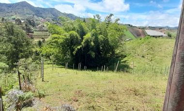 Venta De espectacular Finca De 27.000 Mt2, con terreno mixto Ideal Para Vivir O Cultivar, Marinilla, Antioquia
