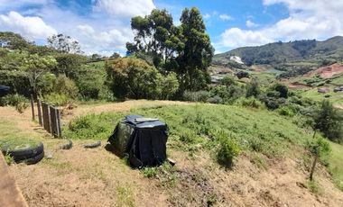 Venta De espectacular Finca De 27.000 Mt2, con terreno mixto Ideal Para Vivir O Cultivar, Marinilla, Antioquia