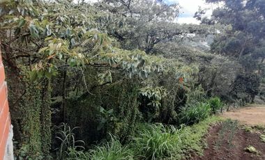 Venta De espectacular Finca De 27.000 Mt2, con terreno mixto Ideal Para Vivir O Cultivar, Marinilla, Antioquia