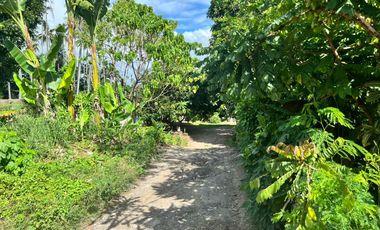 HOUSE AND LOT FOR SALE IN DUMAGUETE CITY ID 15068