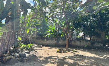 HOUSE AND LOT FOR SALE IN DUMAGUETE CITY ID 15068