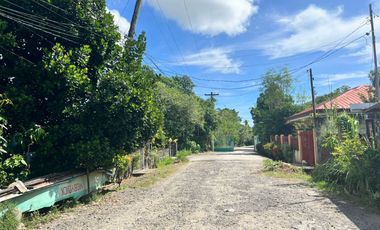 HOUSE AND LOT FOR SALE IN DUMAGUETE CITY ID 15068