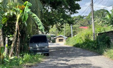 HOUSE AND LOT FOR SALE IN DUMAGUETE CITY ID 15068