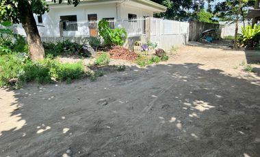 HOUSE AND LOT FOR SALE IN DUMAGUETE CITY ID 15068