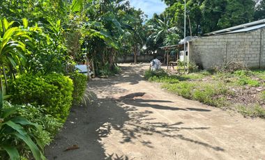 HOUSE AND LOT FOR SALE IN DUMAGUETE CITY ID 15068