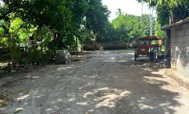 HOUSE AND LOT FOR SALE IN DUMAGUETE CITY ID 15068