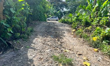 HOUSE AND LOT FOR SALE IN DUMAGUETE CITY ID 15068