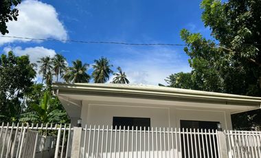 HOUSE AND LOT FOR SALE IN DUMAGUETE CITY ID 15068