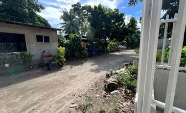 HOUSE AND LOT FOR SALE IN DUMAGUETE CITY ID 15068