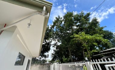 HOUSE AND LOT FOR SALE IN DUMAGUETE CITY ID 15068