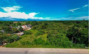 PVT2026-0001 | Agricultural & Residential Lot for Sale in Tagburos Palawan | 36,105 sqm