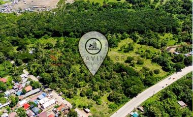 PVT2026-0001 | Agricultural & Residential Lot for Sale in Tagburos Palawan | 36,105 sqm