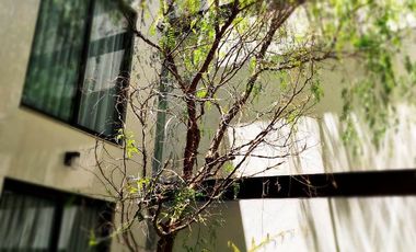 Departamento Vista a Patio Central, Planta Baja, en Renta, Casa Nogal, Santa María La Ribera