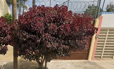 VENTA DE CASA EN COLONIA LA CEBADA ZAPOTLÁN EL GRANDE JALISCO