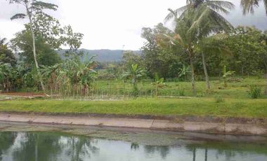 Tanah Darat Siap Buat Tinggal & Kebun