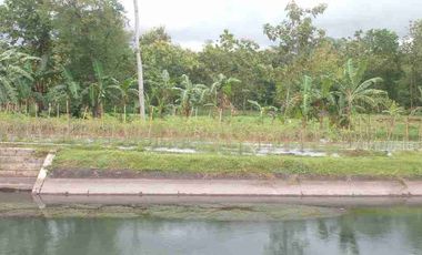 Tanah Darat Siap Buat Tinggal & Kebun