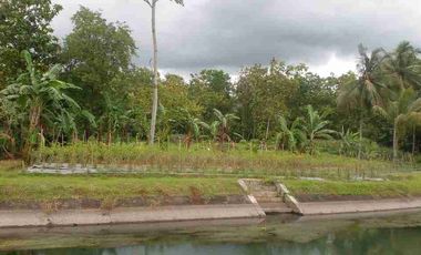 Tanah Darat Siap Buat Tinggal & Kebun