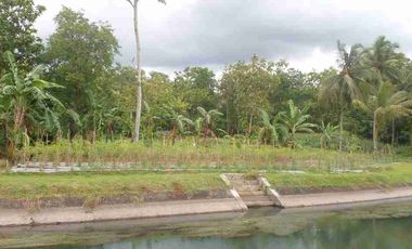 Tanah Darat Siap Buat Tinggal & Kebun