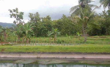 Tanah Darat Siap Buat Tinggal & Kebun