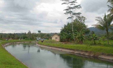 Tanah Darat Siap Buat Tinggal & Kebun