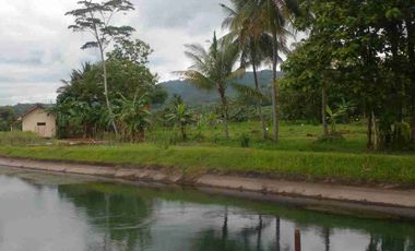 Tanah Darat Siap Buat Tinggal & Kebun
