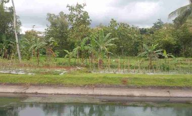 Tanah Darat Siap Buat Tinggal & Kebun