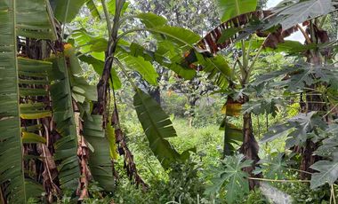 DIJUAL CEPAT TANAH EX PABRIK LUAS 1.08 HA. CILEUNGSI - HARGA NEGO