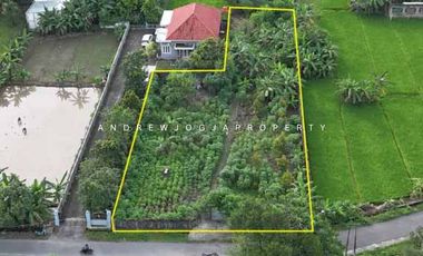 Jual Tanah Utara Hotel Platinum Bandara Adi Sucipto Jalan Solo Nego Sampai Deal