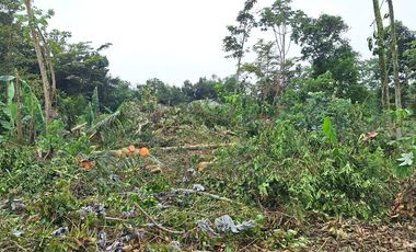 Kavling Cisauk Tepi Jalan Hanya 1Jtan/m,14 Menit Gerbang Tol Legok