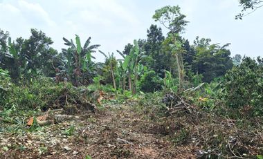 Kavling Cisauk Tepi Jalan Hanya 1Jtan/m,14 Menit Gerbang Tol Legok