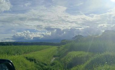 Activo inmobiliario en funcionamiento – Ideal para inversionistas”