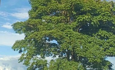 Activo inmobiliario en funcionamiento – Ideal para inversionistas”