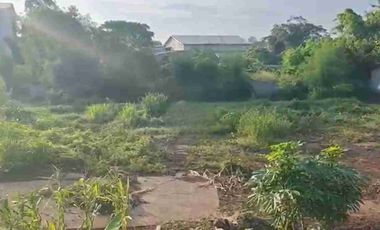 Dijual Cepat Murah Gudang Siap Pakai
Jl. Telesonik, Desa Kadu Jaya, Curug, Tangerang