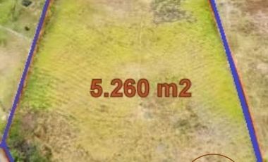 Vendo quinta vacacional en Malacatos Loja Ecuador