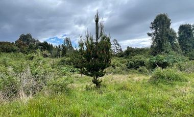Vende parcela, Fundo Ventisquero, camino Ensenada, Puerto Varas.
