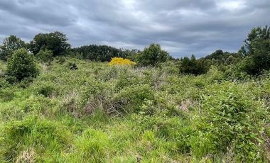 Vende parcela, Fundo Ventisquero, camino Ensenada, Puerto Varas.