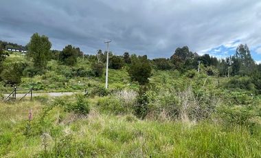 Vende parcela, Fundo Ventisquero, camino Ensenada, Puerto Varas.