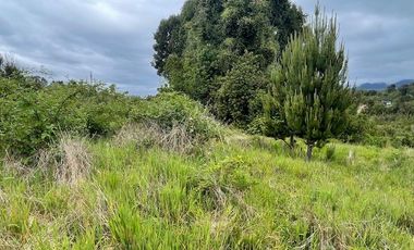 Vende parcela, Fundo Ventisquero, camino Ensenada, Puerto Varas.